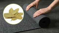Hojas de laurel bajo la alfombra: el remedio casero para el olor a cerrado